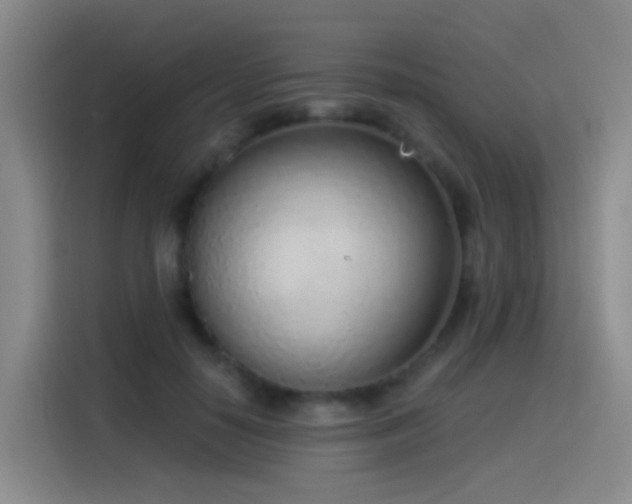 X0000116110650200911231146