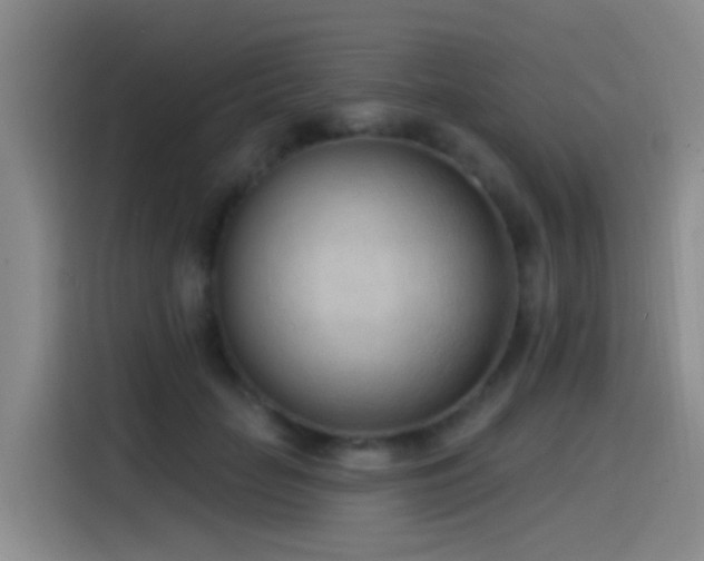 X0000116110653200911231146