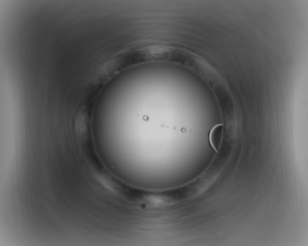 X0000116110654200911231146