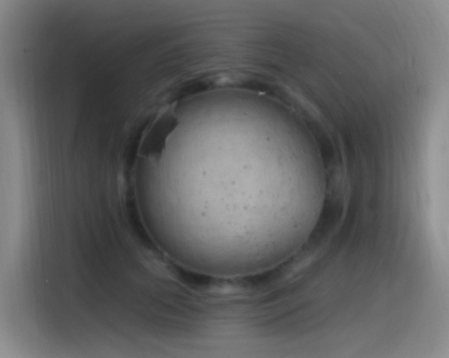 X0000116110655200911231146