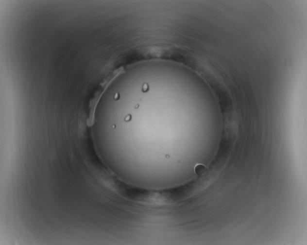 X0000116110656200911231146