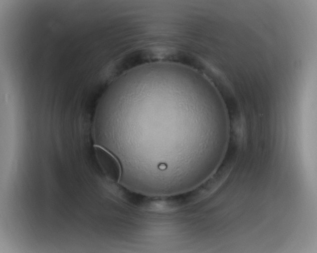 X0000116110657200911231146