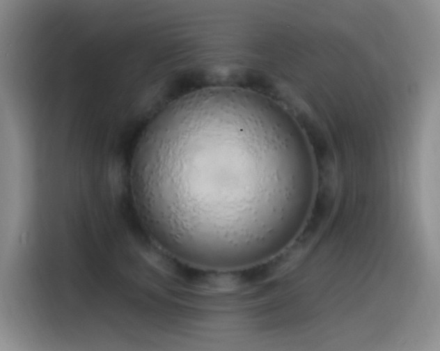 X0000116110659200911231146