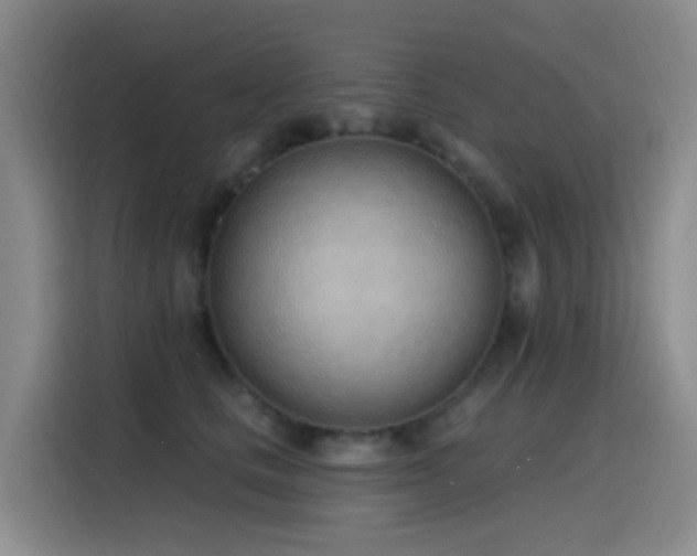 X0000116110661200911231146