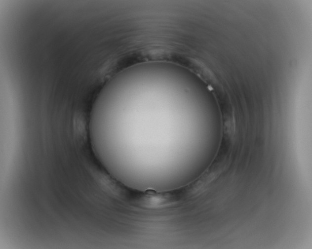 X0000116110662200911231146