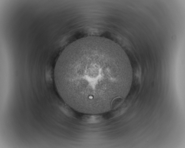 X0000116110663200911231146