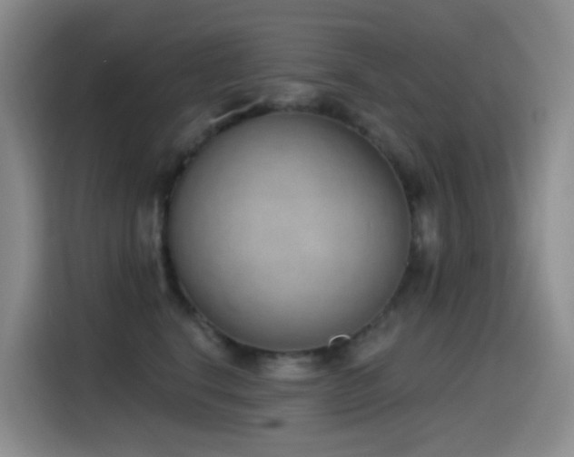 X0000116110664200911231146