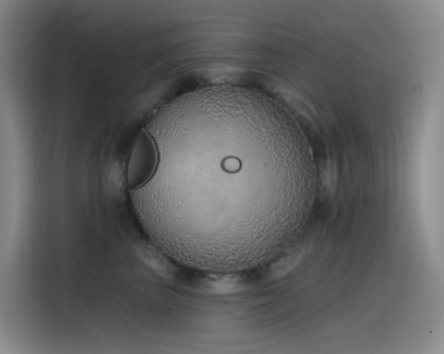 X0000116110667200911231146