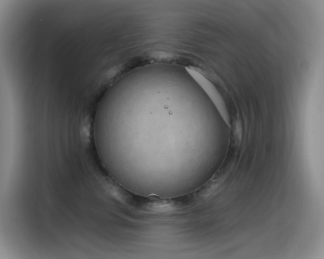 X0000116110668200911231146