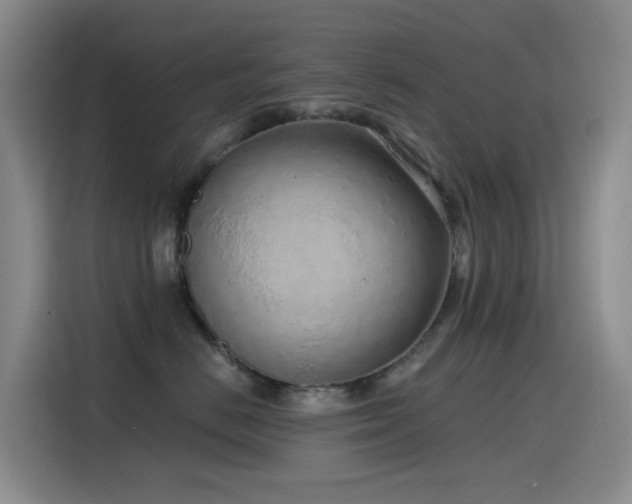 X0000116110670200911231147