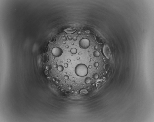 X0000116110671200911231147