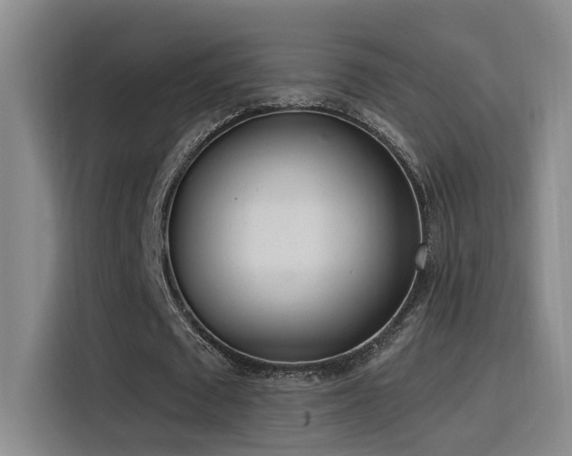 X0000116110673200911231146