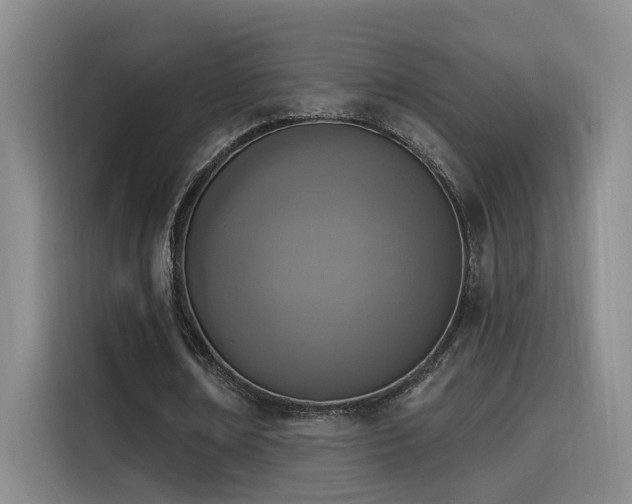 X0000116110674200911231146