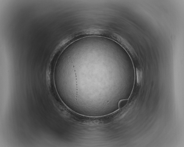 X0000116110675200911231146