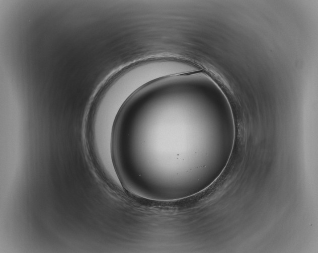 X0000116110676200911231146