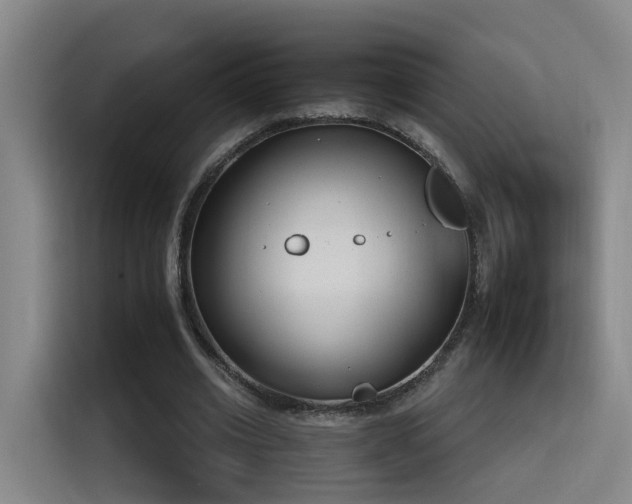 X0000116110677200911231146