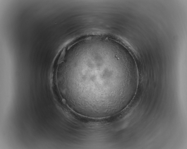 X0000116110679200911231146