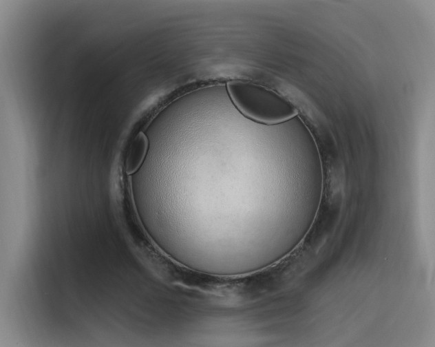 X0000116110680200911231146