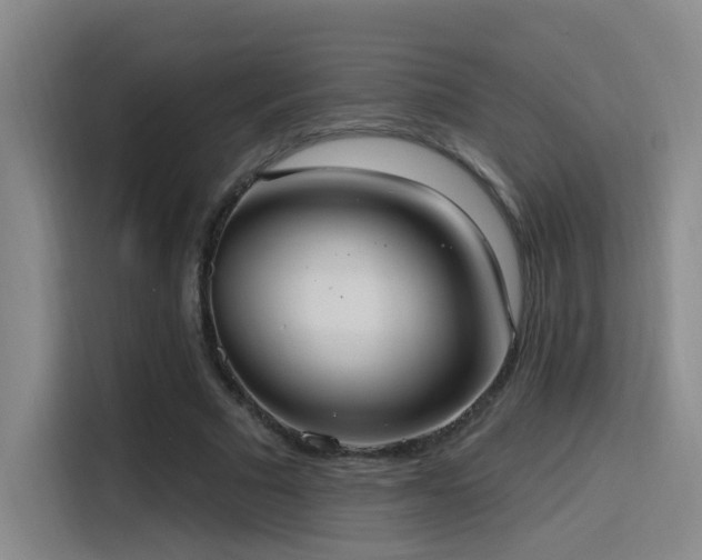 X0000116110681200911231146