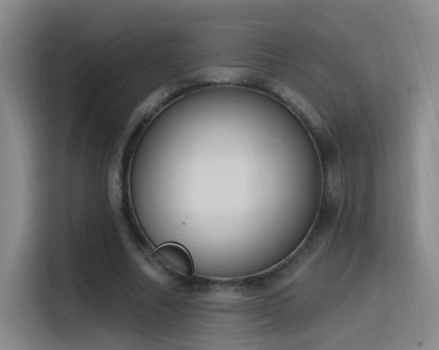 X0000116110682200911231146