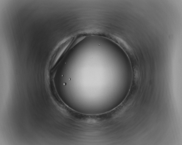 X0000116110684200911231146