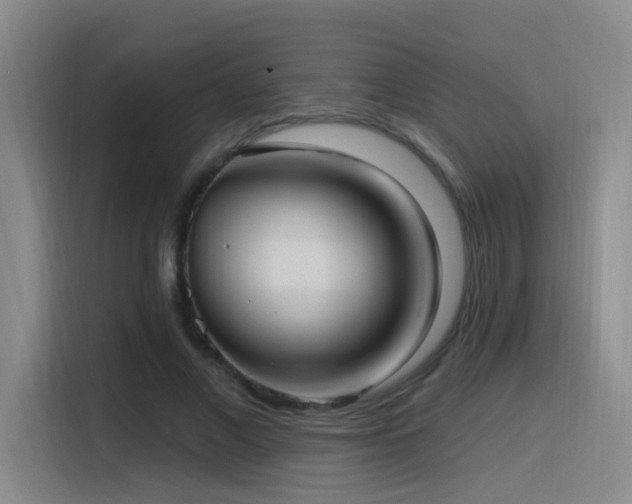 X0000116110685200911231146