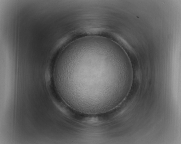 X0000116110687200911231146