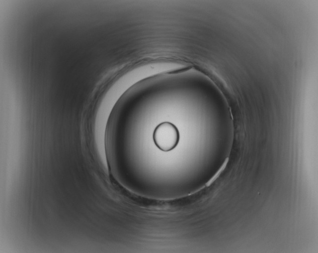 X0000116110688200911231146