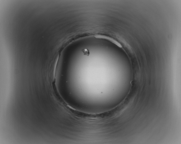 X0000116110689200911231146