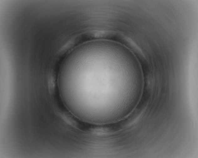 X0000116110691200911231146