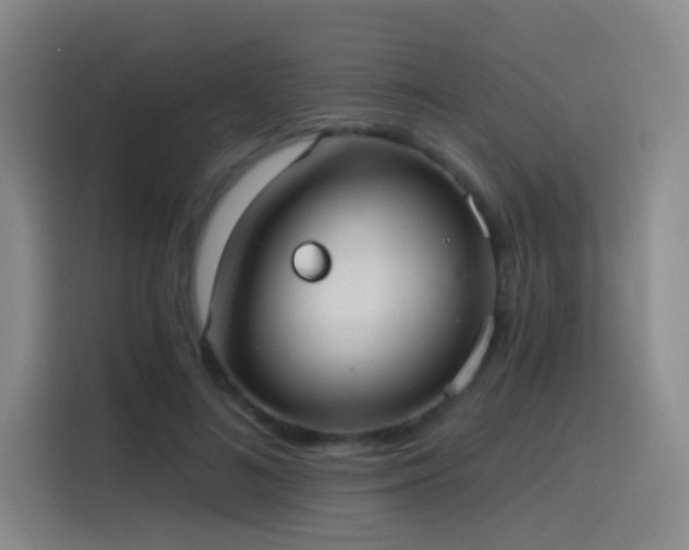 X0000116110692200911231146