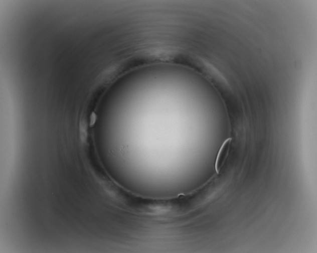 X0000116110693200911231146