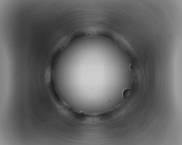 X0000116110694200911231146