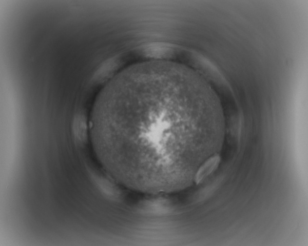 X0000116110696200911231146