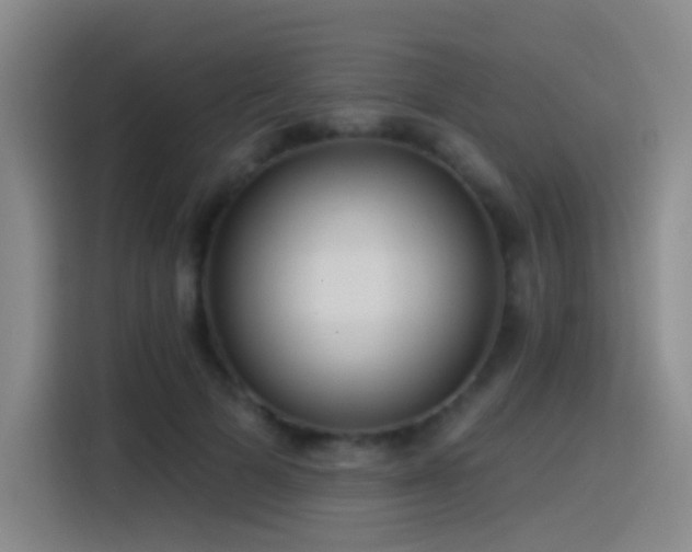 X0000116110697200911231146