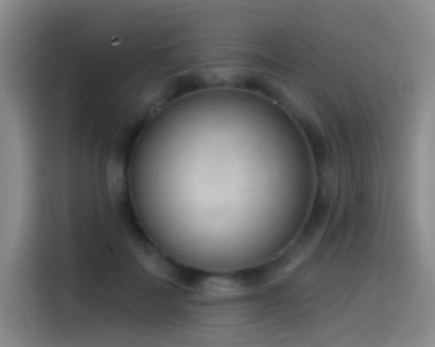 X0000116110699200911231146