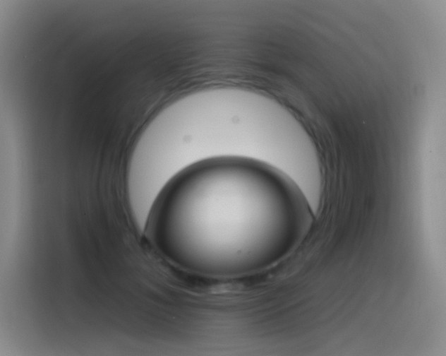 X0000116110700200911231146