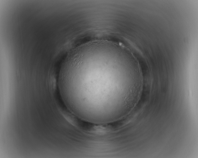 X0000116110703200911231146