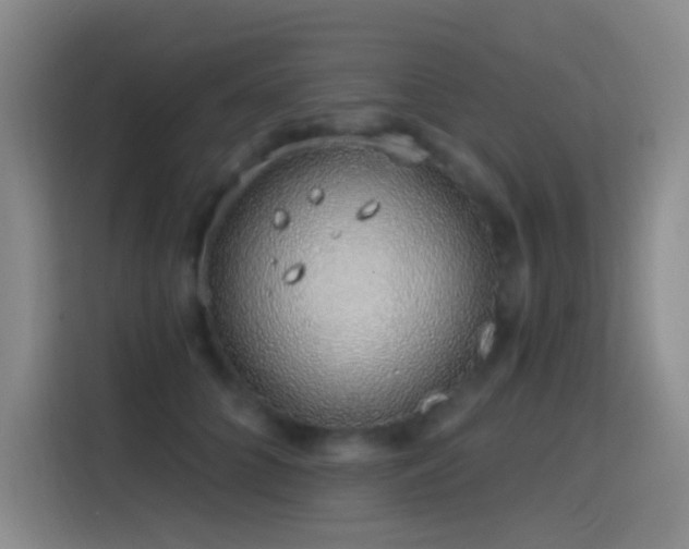 X0000116110704200911231146