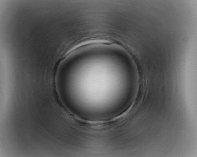 X0000116110709200911231145