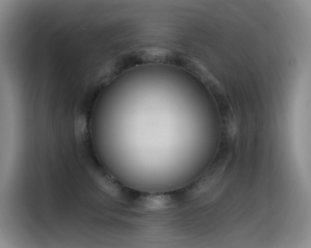 X0000116110711200911231145