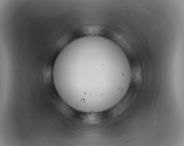 X0000116110717200911231145