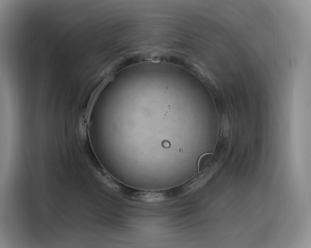 X0000116110719200911231145