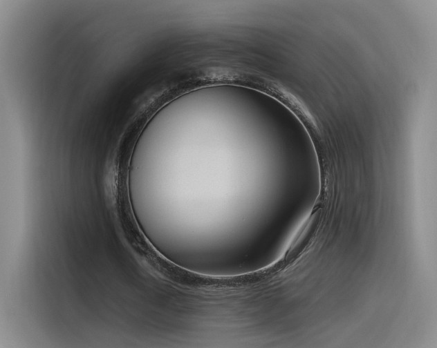 X0000116110722200911231145