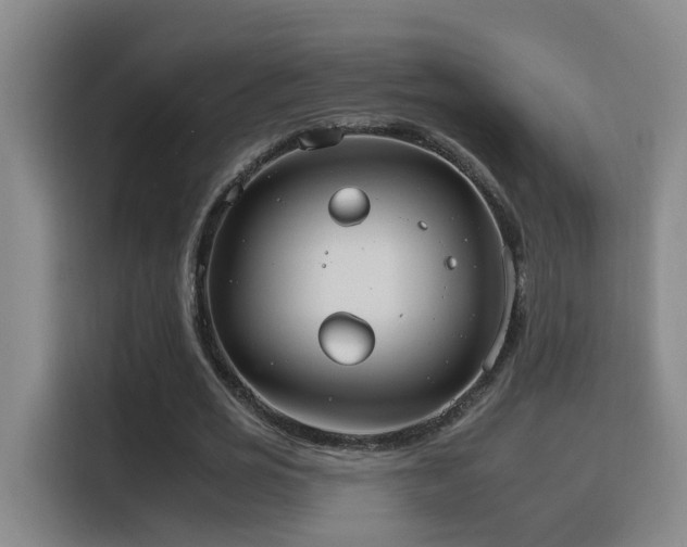 X0000116110725200911231145