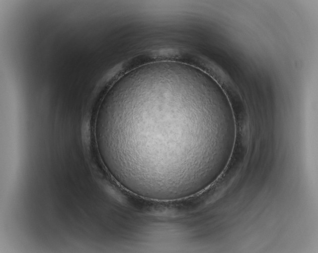 X0000116110729200911231145