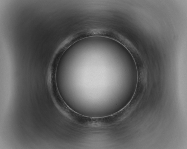 X0000116110730200911231145