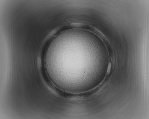 X0000116110734200911231145