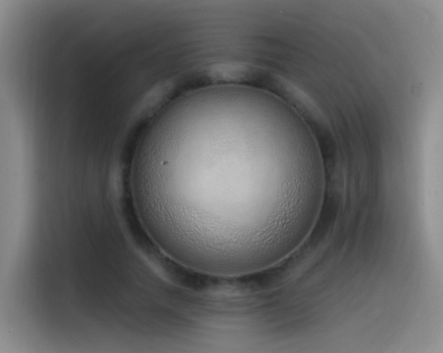 X0000116110738200911231145