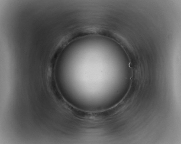 X0000116110739200911231145